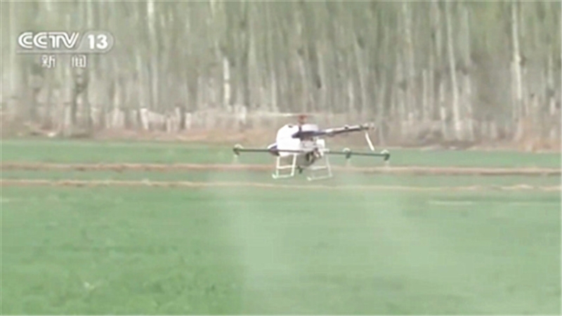 新疆库车：无人机作业 助力30万亩冬小麦除草