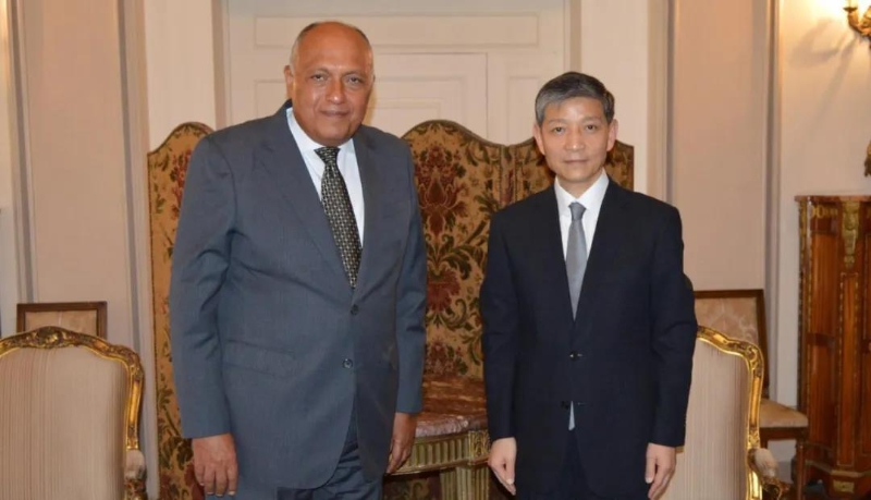 埃及外长会见中国驻埃及大使：中方抗疫的成功经验值得各国学习