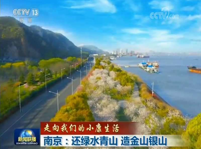 【走向我们的小康生活】南京：还青山绿水 造金山银山