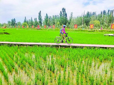 新疆阿克苏温宿县：稻草主题公园让村民腰包鼓起来