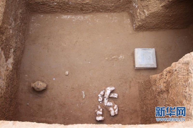（图文互动）（4）陕西西咸新区发现隋代王韶家族墓园