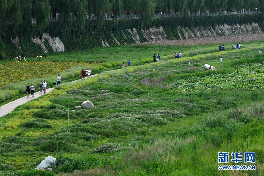 新华网|陕西延安：河道综合治理 建设绿色家园
