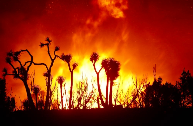 美国加州山火加剧 逾10万人紧急疏散