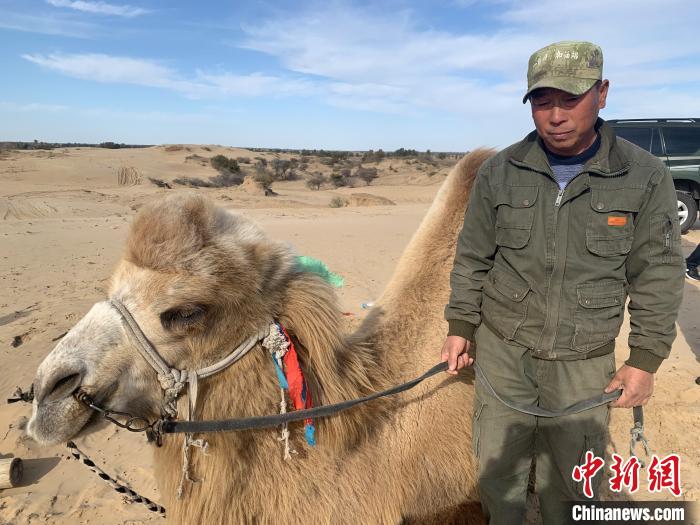【文化扶贫在行动：内蒙古篇】科尔沁沙地中的牵驼人：吃旅游饭、启新生活