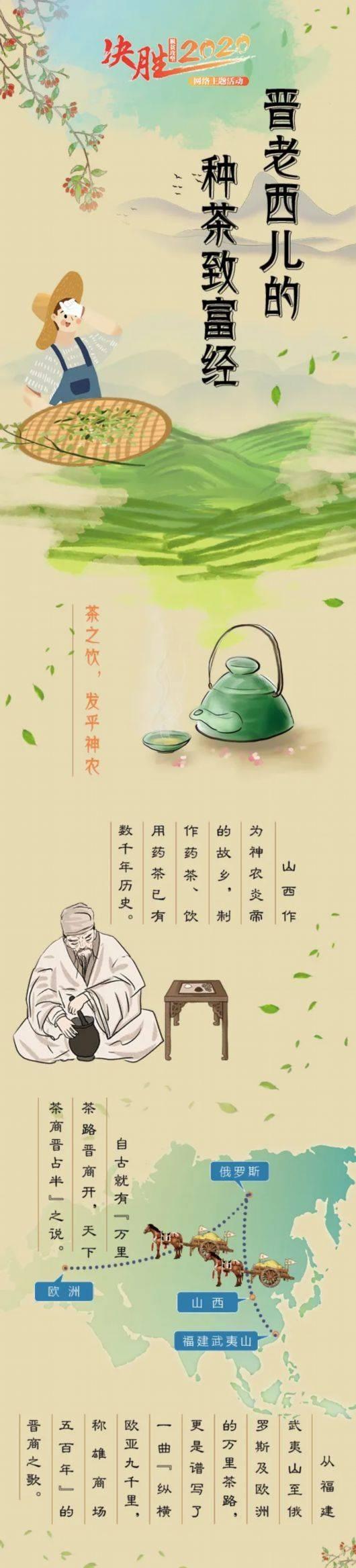 【决胜2020】晋老西儿的种茶致富经