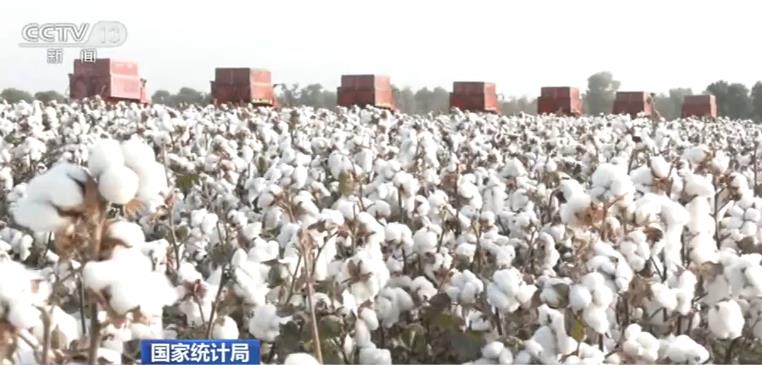 2020年全国棉花产量591万吨 比上年增长0.4%