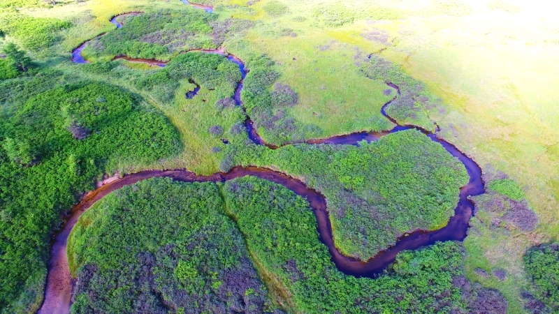 陕西新增一处国家级湿地公园——陕西汉中葱滩国家湿地公园