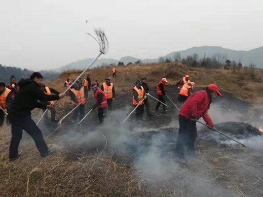 洛南县保安镇仓圣社区举办森林防火应急演练活动