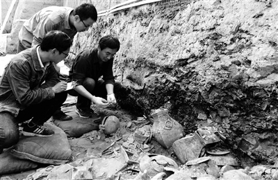 陕西去年发掘3956座古墓葬 考古勘探约1180万平方米