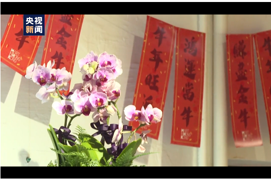 “香港春日市集”线下展示 感受喜气洋洋的新春气氛