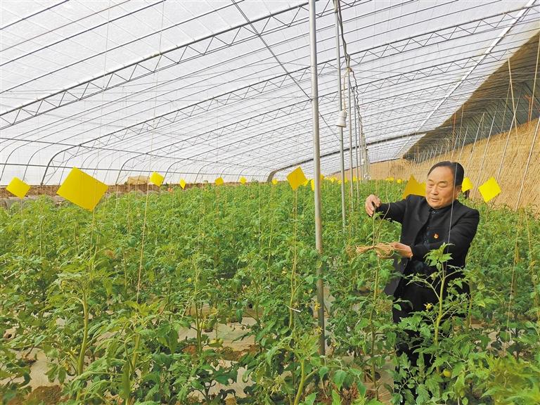 乾县 让农业成为有奔头的产业