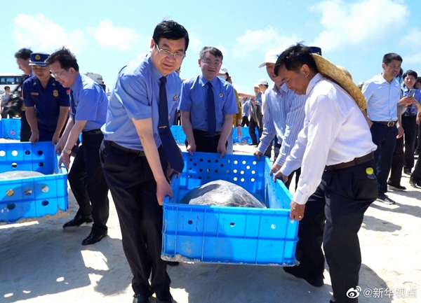 最高检、公安部、农业农村部等多部门联合行动 160只涉案海龟回归大海