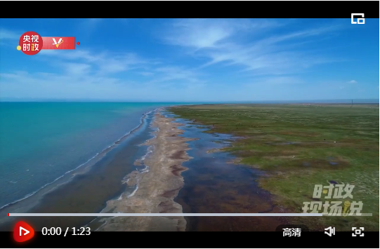 时政现场说丨保护青海湖生态 守护我们自己的家园