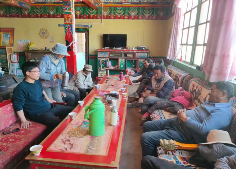 陕西援藏农业“小组团”为阿里地区青贮玉米丰产丰收保驾护航