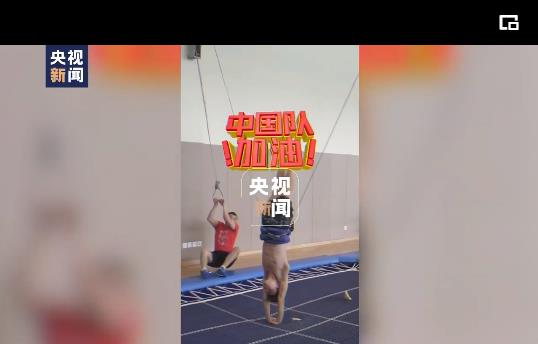 中国队“复制粘贴式”跳水是如何练成的？网友：原来训练挺费教练的！