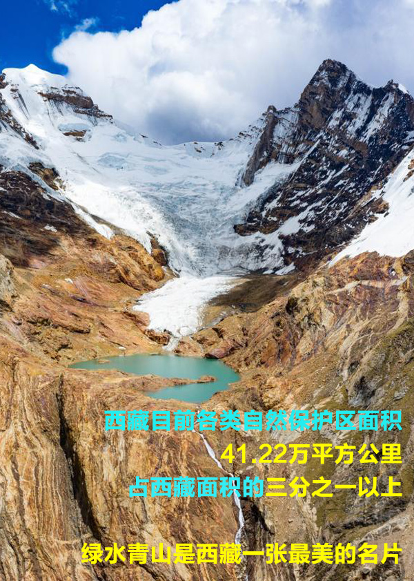 【海报】一组数字，看“绿色西藏”的组数字看值生态颜值