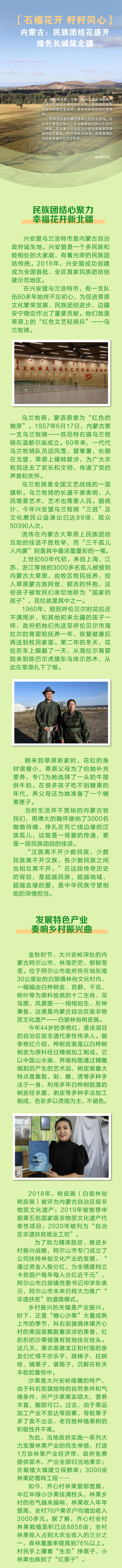 【石榴花开 籽籽同心】内蒙古：民族团结花盛开 绿色长城筑北疆