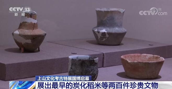 上山文化考古特展国博启幕 展出最早的炭化稻米等两百件珍贵文物