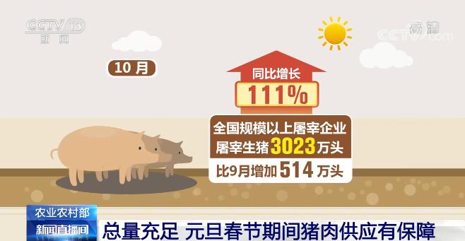 农业农村部：总量充足 当前和元旦春节期间猪肉供应有保障
