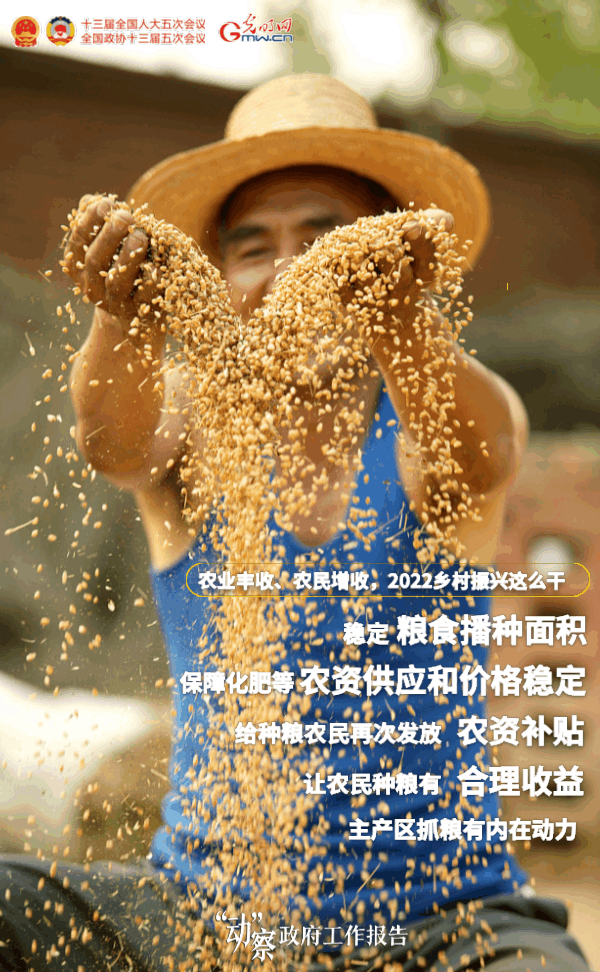 【“动”察政府工作报告】农业丰收、农民增收，2022乡村振兴这么干！
