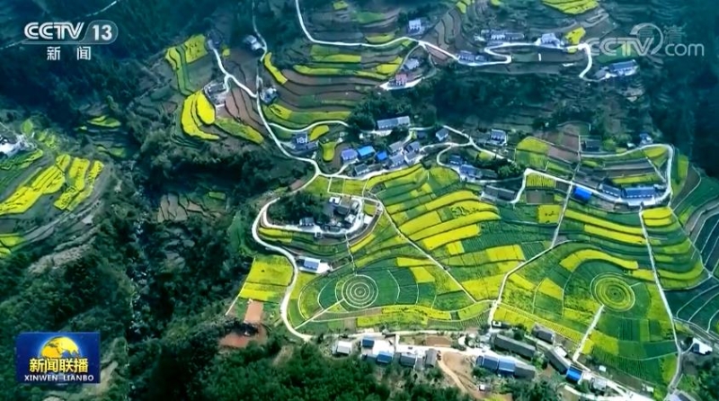 【新思想引领新征程】爱绿植绿护绿 让中国更美丽