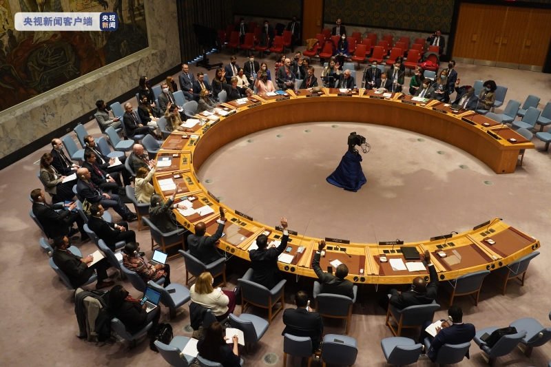 联合国安理会未通过乌克兰人道主义局势决议草案