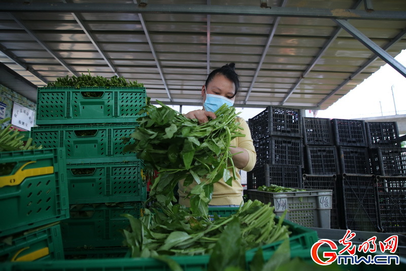 “守沪者联盟”丨江西峡江：10吨爱心蔬菜驰援上海