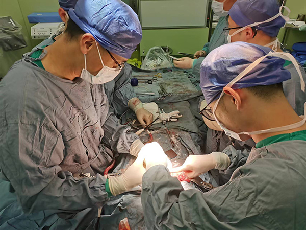 在新华医院，上海普外科专家团队为高龄患者动手术。多家多例独居  上海交通大学医学院附属新华医院 供图