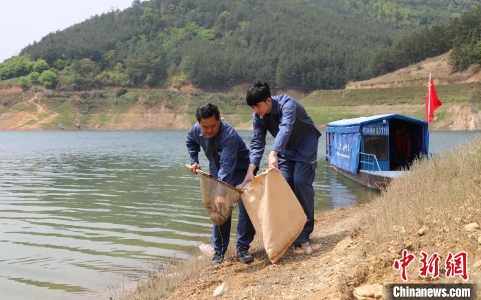 王仲吉带着新员工一起到万峰湖的拐角处收集垃圾 百色隆林供电局 　摄