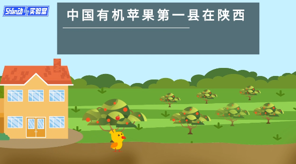 Shǎn动实验室|中国有机苹果第一县在陕西 揭秘“小苹果”如何成为“金蛋蛋”