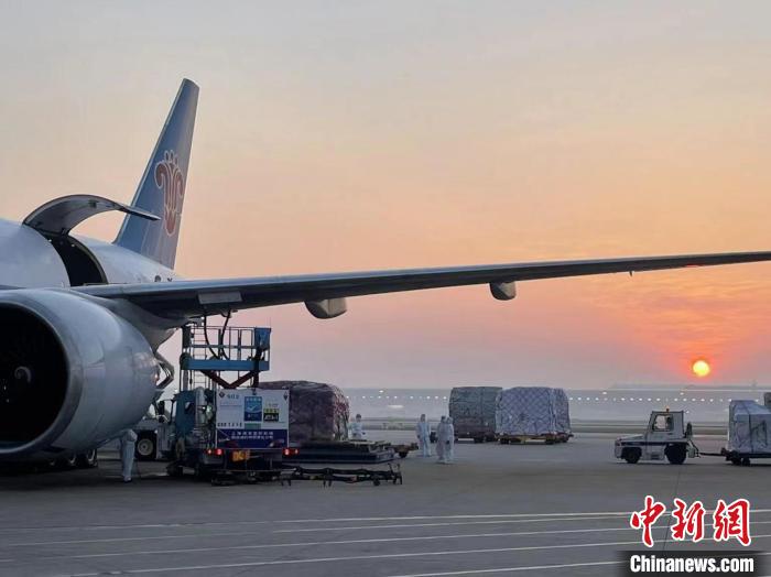 （上海战疫录）南航恢复在沪货机运行 助力上海企业复工复产
