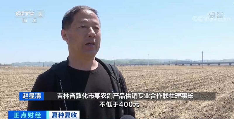 夏种夏收 | 吉林省：超额完成任务 落实大豆播种面积464.5万亩
