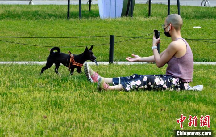 市民在草坪上与小狗玩耍。居民 汤彦俊 摄
