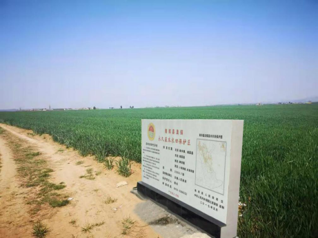 陕西：严格落实耕地保护制度 确保现状耕地应保尽保