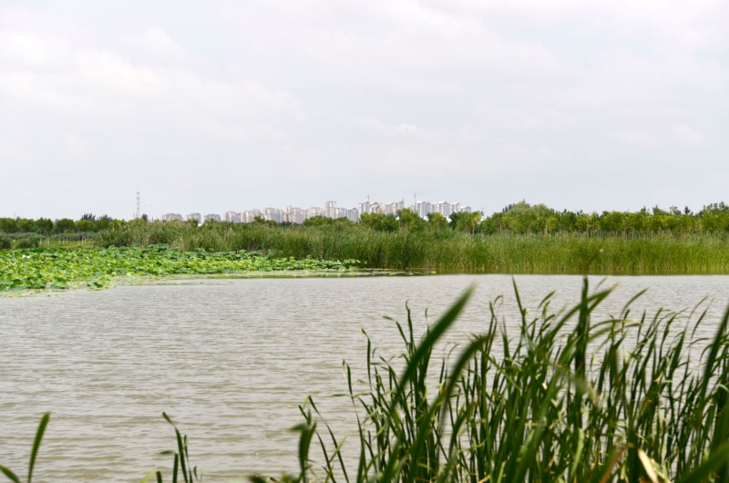 奋进新征程 建功新时代丨天津打造保护京津冀的绿色生态屏障