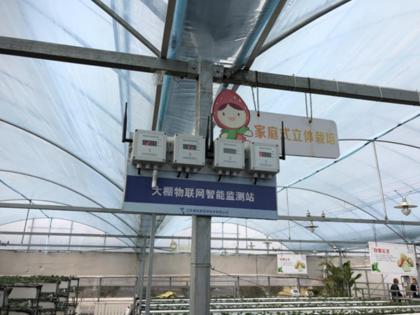 都市四季果园内的翅膀物联网智能监测站系统。东海县委宣传部供图
