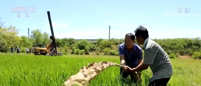 抗旱夺丰收 | 找水打井，水稻“喝”上水