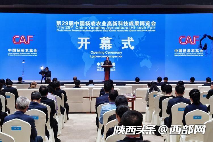 第29届杨凌农高会今日开幕 “三大展”全方位展示农业科技新成果