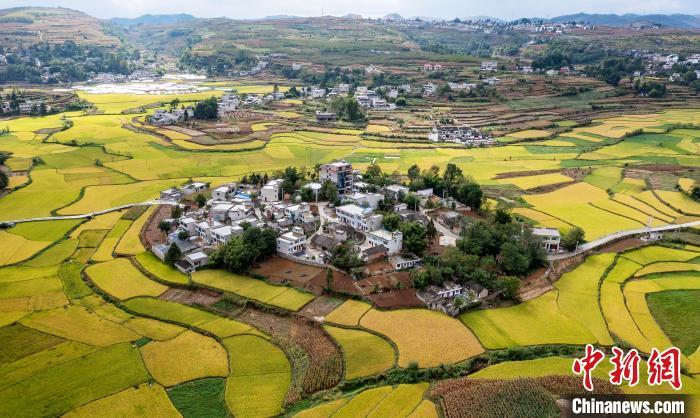 9月16日，净增加航拍贵州省黔西市林泉镇合心村稻田。自然资源总量范晖 摄