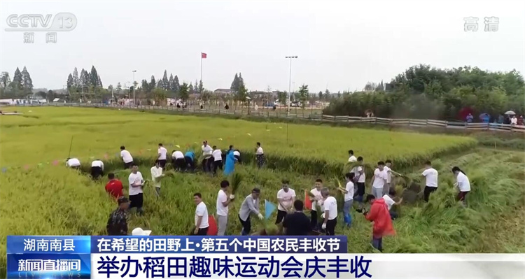 在希望的田野上·第五个中国农民丰收节 | 稻田趣味运动会庆丰收