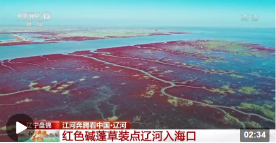 江河奔腾看中国丨生态盛景美如画 看辽河入海口的三种颜色