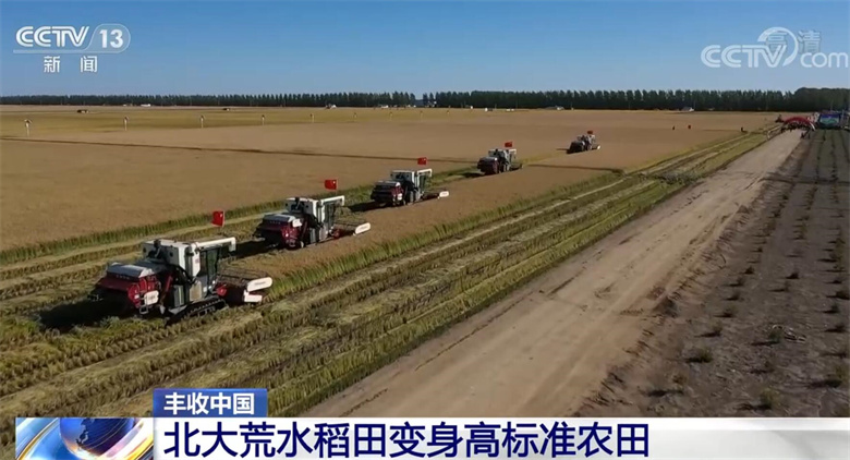 北大荒水稻田变身高标准农田 种粮农民收获惊喜