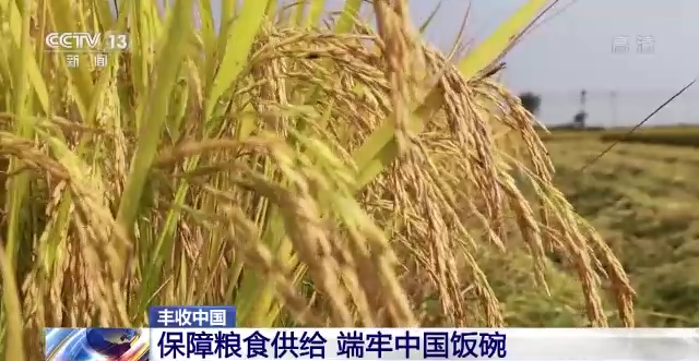 丰收中国丨从会种地到“慧”种地 科技支撑粮食安全底气