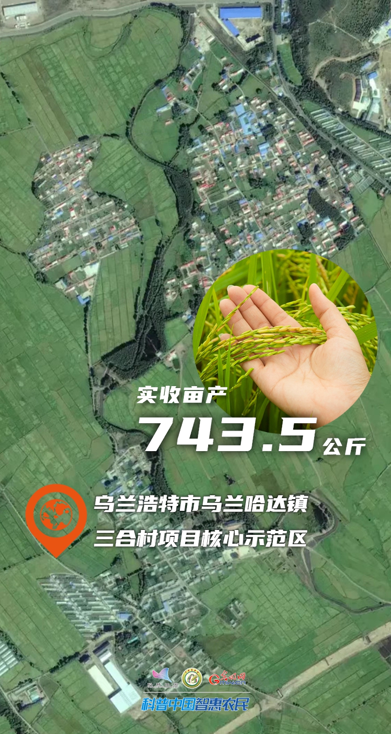 数说丰收| 743.5公斤！产纪内蒙古水稻单产纪录刷新