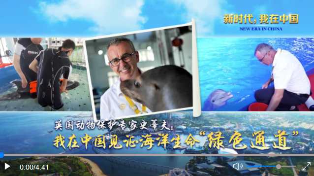 新时代，我在中国 | 英国动物保护专家史蒂夫：我在中国见证海洋生命“绿色通道”