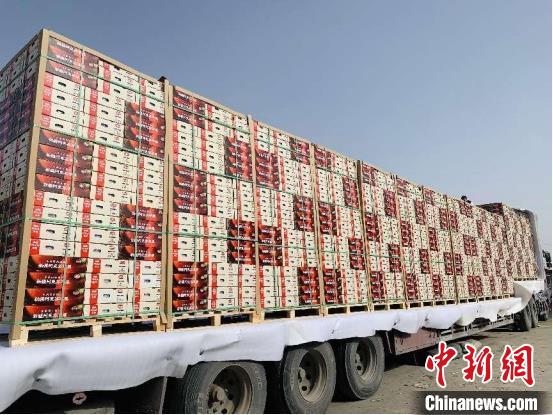 “疆果东送”千吨新疆阿克苏苹果整装待发。　浙江杭州援疆指挥部提供
