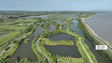全球连线 | 中国湿地之城的生态密码
