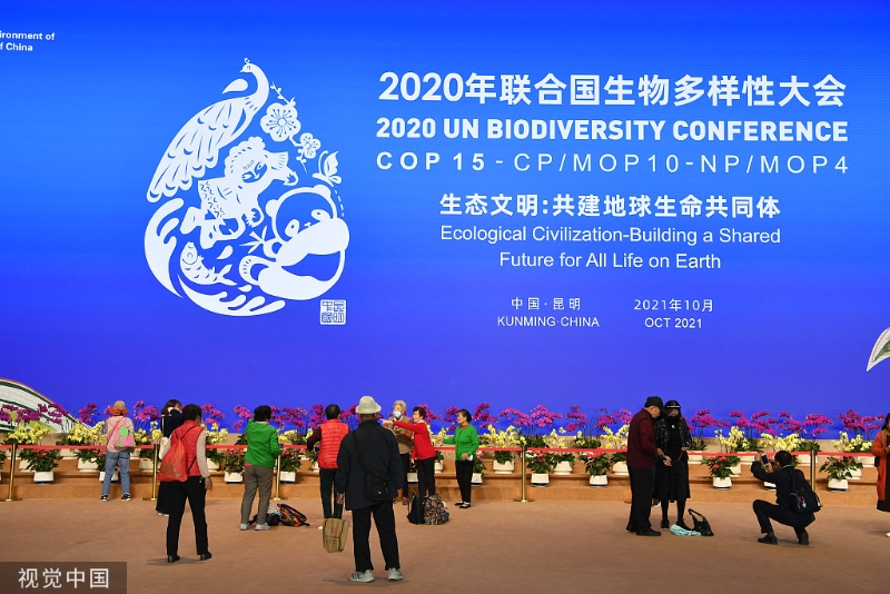 团结各界明确方向！国际社会期待中国推动COP15进程