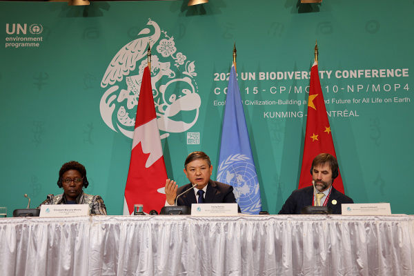中国力推COP15达成历史性共识，专家：彰显中国秉承团结一致原则