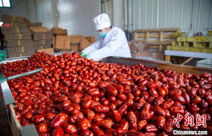 新疆一些红枣加工企业立足创新、瞄准健康，适应消费者口味，产品越来越丰富。　买买提艾力·艾尼瓦尔 摄